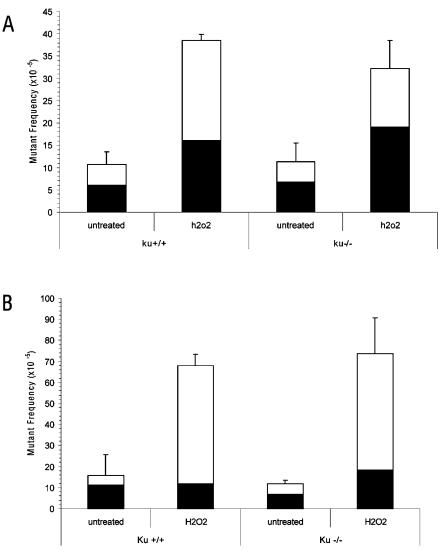 https://cdn.ncbi.nlm.nih.gov/pmc/blobs/4e62/2565499/fadb7b84b002/pone.0003458.g005.jpg