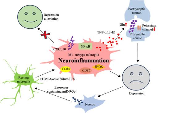 https://cdn.ncbi.nlm.nih.gov/pmc/blobs/4e64/11964431/e609466228a0/AD-16-2-1023-g2.jpg