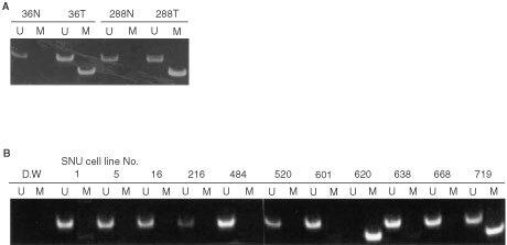 https://cdn.ncbi.nlm.nih.gov/pmc/blobs/4e64/2375420/070319738385/86-6600372f1.jpg