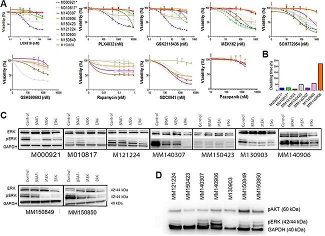 https://cdn.ncbi.nlm.nih.gov/pmc/blobs/4e64/5363577/551333ee9384/oncotarget-07-77163-g003.jpg