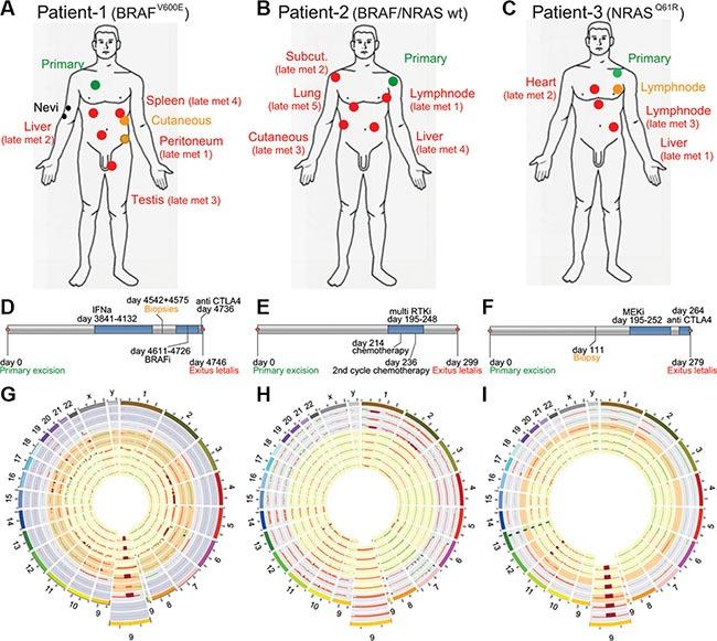 https://cdn.ncbi.nlm.nih.gov/pmc/blobs/4e64/5363577/b4febe4d2b29/oncotarget-07-77163-g001.jpg