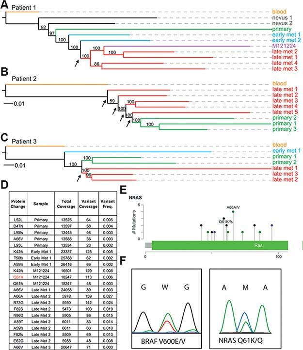 https://cdn.ncbi.nlm.nih.gov/pmc/blobs/4e64/5363577/be8aef636483/oncotarget-07-77163-g002.jpg