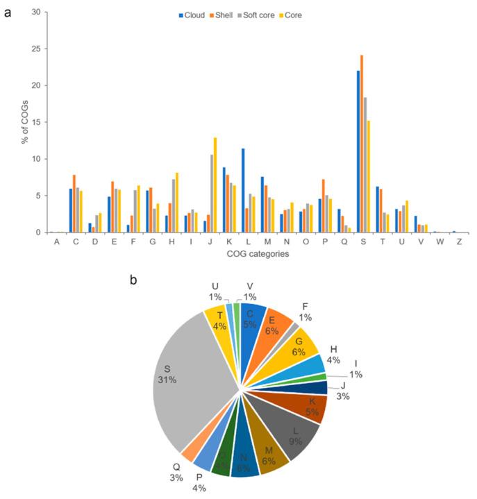 https://cdn.ncbi.nlm.nih.gov/pmc/blobs/4e64/9456166/31af8b8801b5/ijms-23-09712-g004.jpg