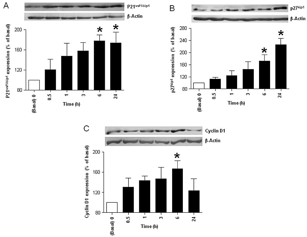 https://cdn.ncbi.nlm.nih.gov/pmc/blobs/4e67/3188915/7e20e9cbf642/bph0164-0584-f6.jpg