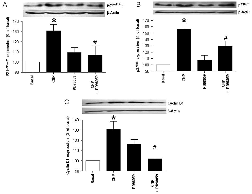 https://cdn.ncbi.nlm.nih.gov/pmc/blobs/4e67/3188915/a39632fe797e/bph0164-0584-f7.jpg