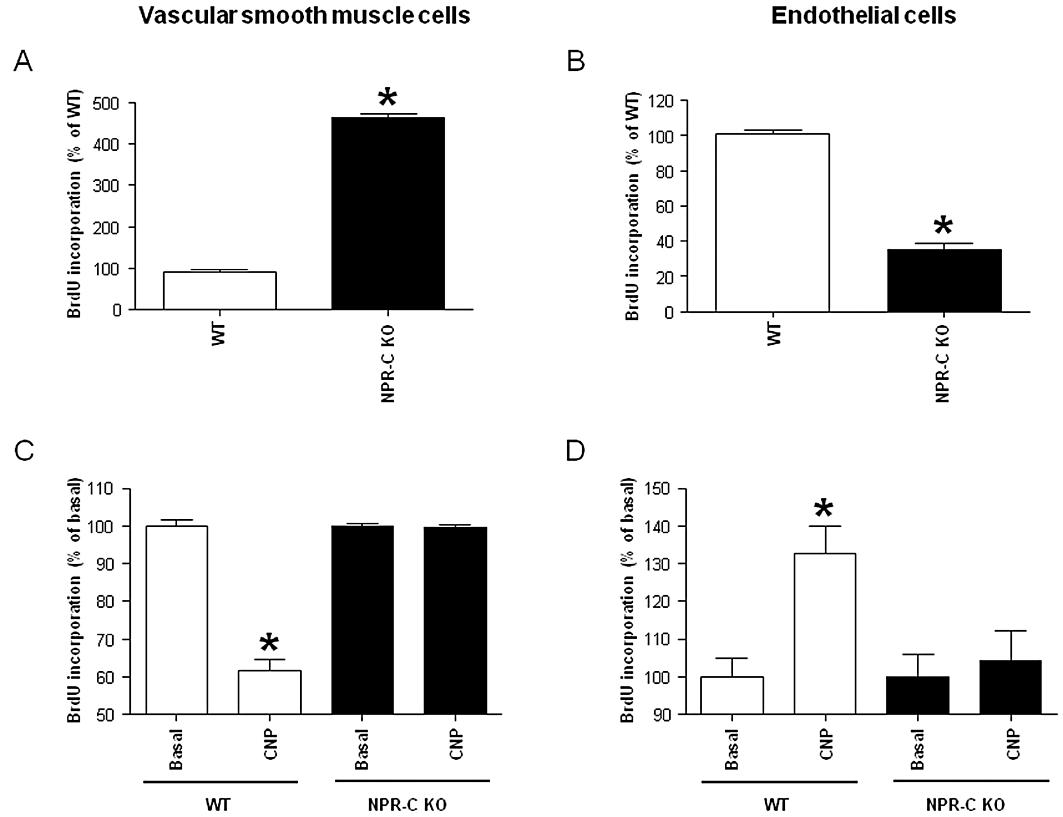 https://cdn.ncbi.nlm.nih.gov/pmc/blobs/4e67/3188915/d754b487e918/bph0164-0584-f2.jpg