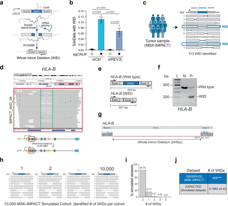 https://cdn.ncbi.nlm.nih.gov/pmc/blobs/4e68/12065846/05ca0763c322/41467_2025_59510_Fig5_HTML.jpg