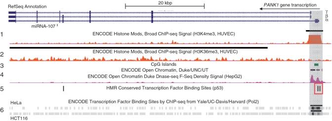 https://cdn.ncbi.nlm.nih.gov/pmc/blobs/4e6d/3025554/582a42a9cade/gkq796f7.jpg