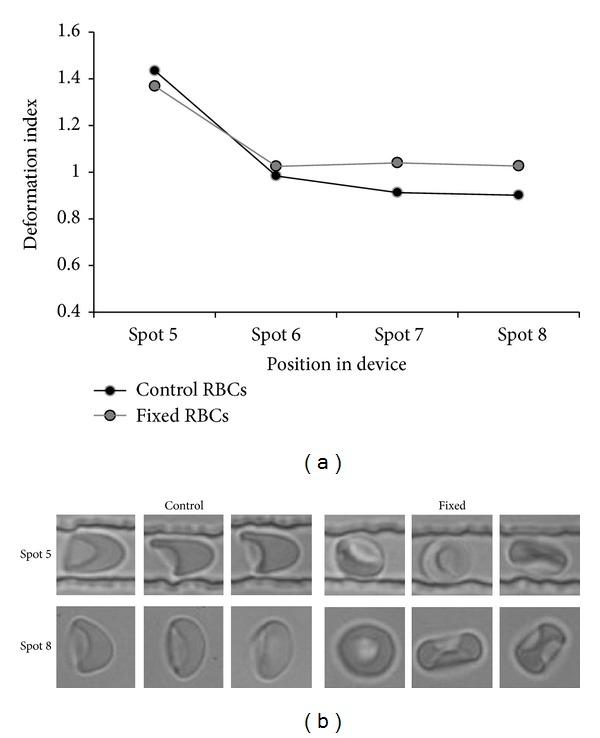 https://cdn.ncbi.nlm.nih.gov/pmc/blobs/4e6f/4176636/104fc1c3b01b/BMRI2014-764268.006.jpg