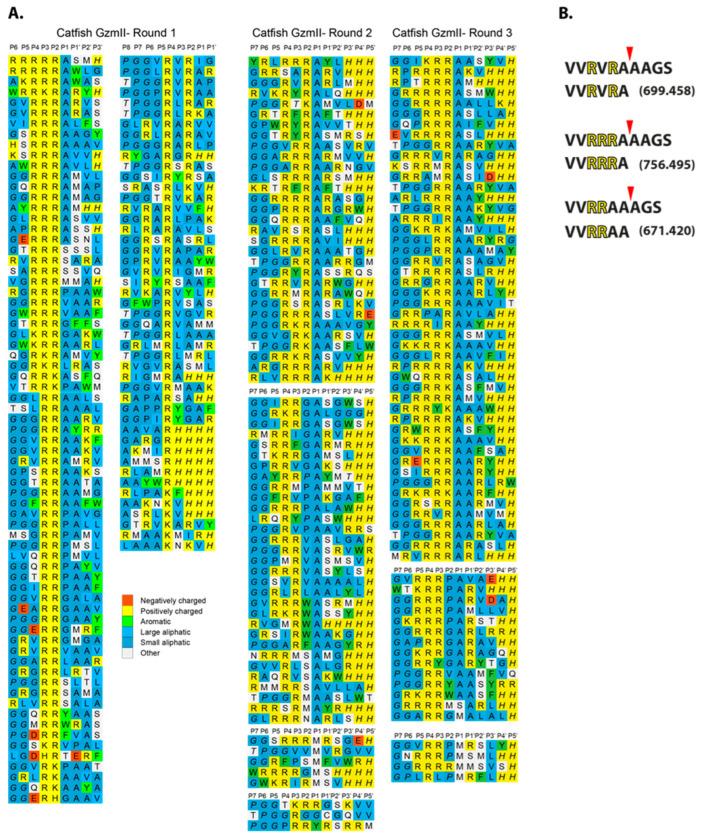 https://cdn.ncbi.nlm.nih.gov/pmc/blobs/4e72/10778636/34ec35ef262c/ijms-25-00356-g003.jpg