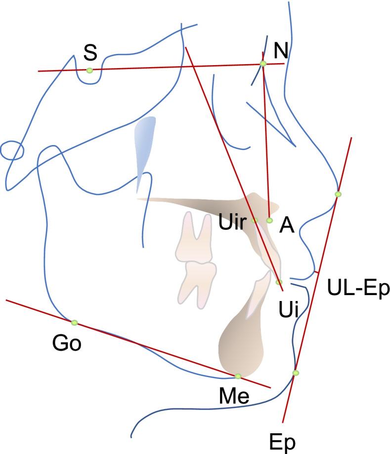 https://cdn.ncbi.nlm.nih.gov/pmc/blobs/4e74/9171929/95fc61bdca1a/13063_2022_6389_Fig4_HTML.jpg