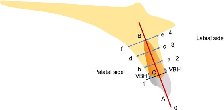 https://cdn.ncbi.nlm.nih.gov/pmc/blobs/4e74/9171929/ae395fd81816/13063_2022_6389_Fig3_HTML.jpg