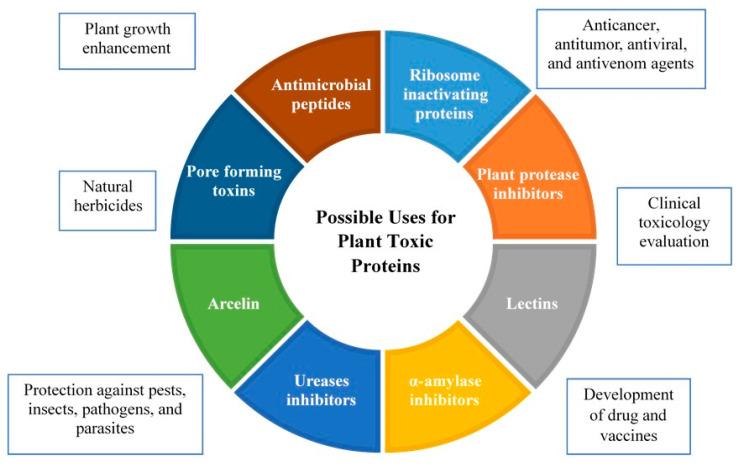 https://cdn.ncbi.nlm.nih.gov/pmc/blobs/4e77/10303728/9d3543c32974/toxins-15-00356-g001.jpg