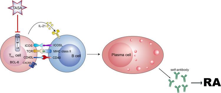 https://cdn.ncbi.nlm.nih.gov/pmc/blobs/4e77/11162965/44a2bea2cd13/JIR-17-3587-g0010.jpg