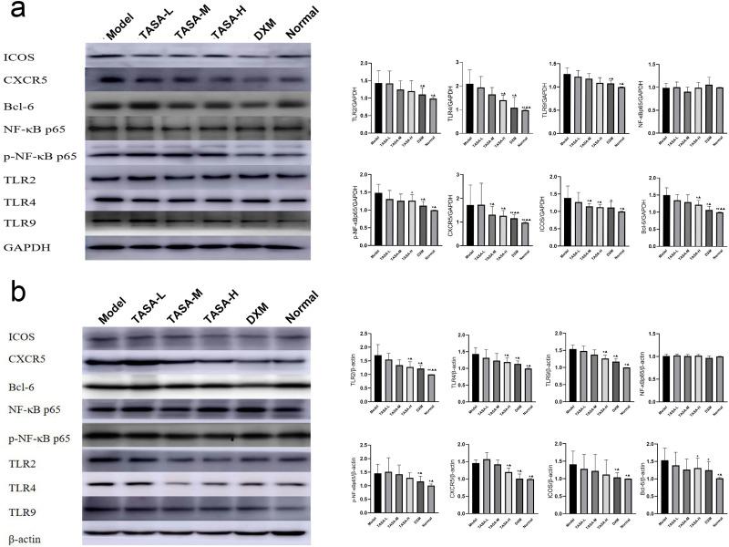 https://cdn.ncbi.nlm.nih.gov/pmc/blobs/4e77/11162965/ecedd0d1ef59/JIR-17-3587-g0007.jpg