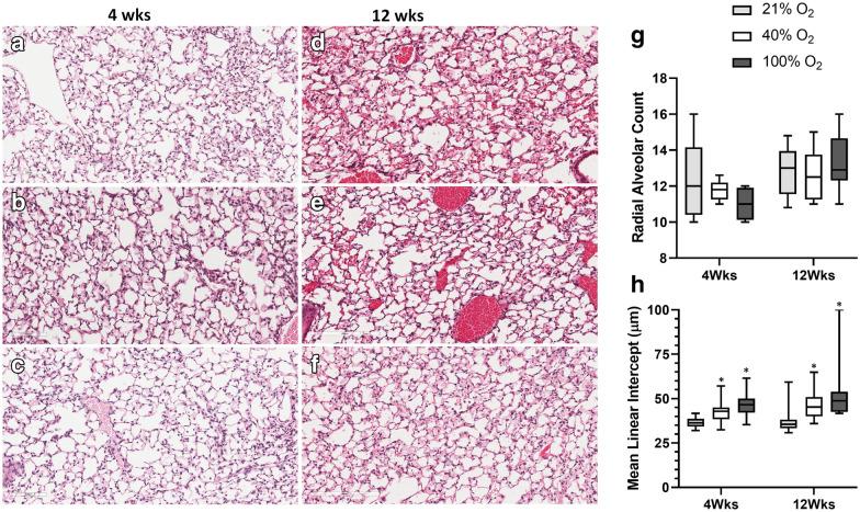 https://cdn.ncbi.nlm.nih.gov/pmc/blobs/4e78/7654066/19aee86f6f13/40659_2020_318_Fig3_HTML.jpg