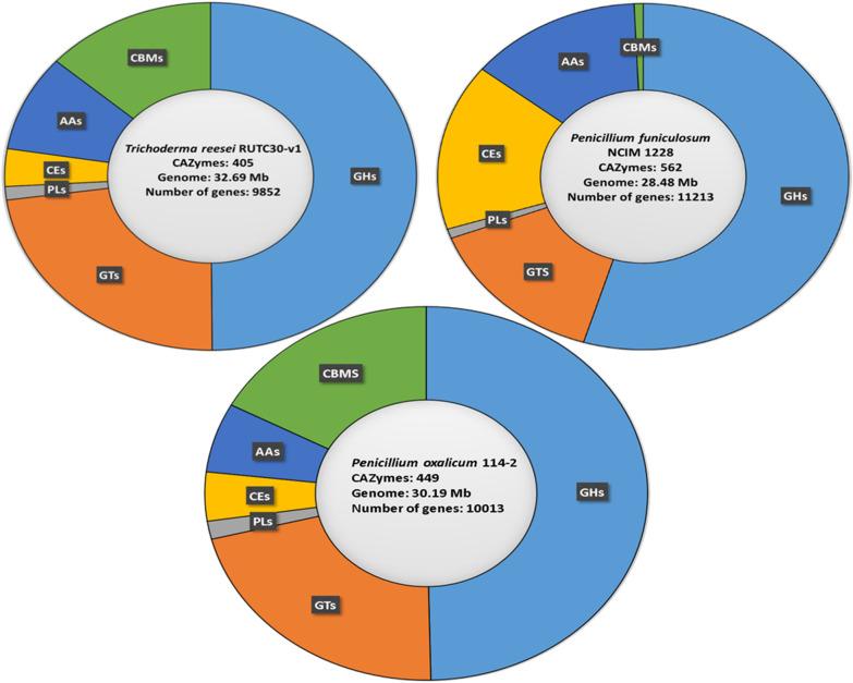 https://cdn.ncbi.nlm.nih.gov/pmc/blobs/4e78/8939176/b57ce158fb6e/12934_2022_1764_Fig2_HTML.jpg