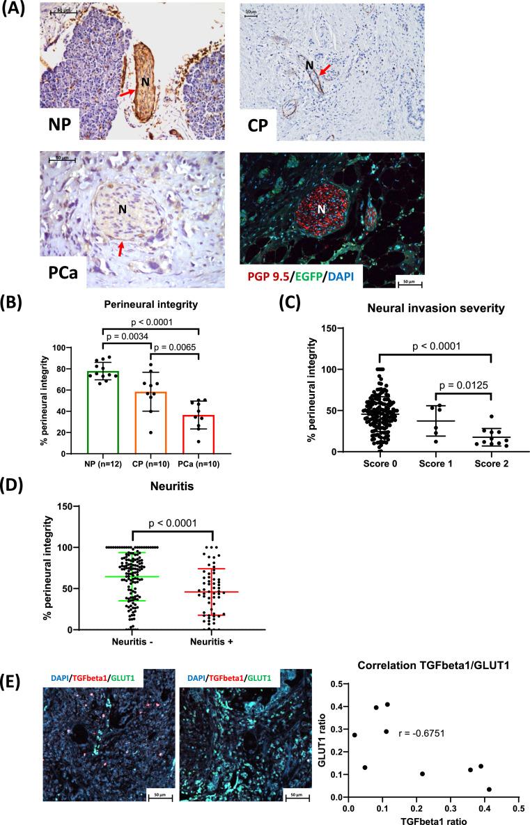 https://cdn.ncbi.nlm.nih.gov/pmc/blobs/4e79/11763858/367df2cc5473/gr1.jpg