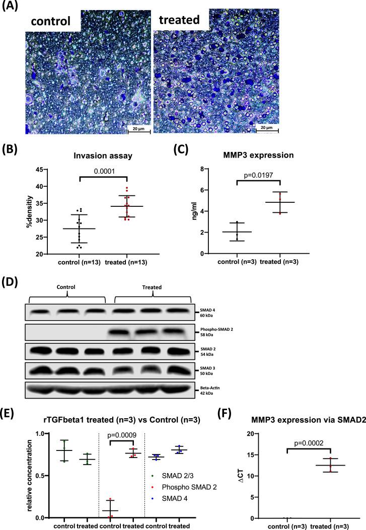 https://cdn.ncbi.nlm.nih.gov/pmc/blobs/4e79/11763858/5842edff202b/gr4.jpg