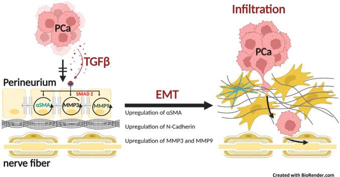 https://cdn.ncbi.nlm.nih.gov/pmc/blobs/4e79/11763858/8d610e0a628d/ga1.jpg