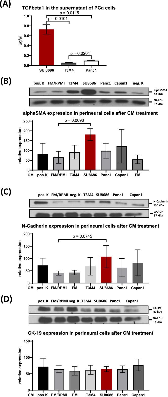 https://cdn.ncbi.nlm.nih.gov/pmc/blobs/4e79/11763858/aa5d9a7a5f4b/gr2.jpg