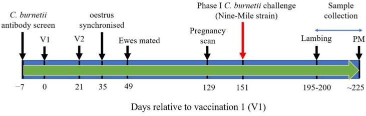 https://cdn.ncbi.nlm.nih.gov/pmc/blobs/4e7c/10054861/a5e60b432f0b/vaccines-11-00511-g001.jpg