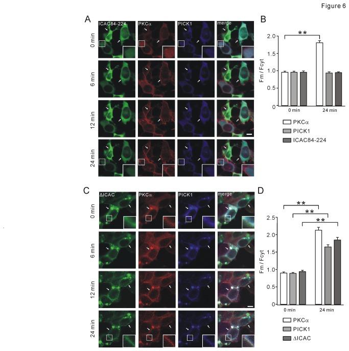 https://cdn.ncbi.nlm.nih.gov/pmc/blobs/4e7c/3865253/eeabbd39fbc8/pone.0083862.g006.jpg