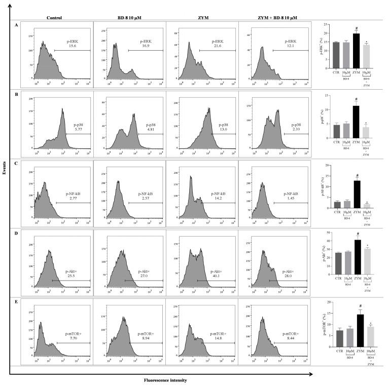 https://cdn.ncbi.nlm.nih.gov/pmc/blobs/4e7e/11430542/65b6fec9802d/cells-13-01568-g008a.jpg
