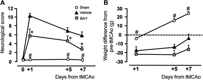 https://cdn.ncbi.nlm.nih.gov/pmc/blobs/4e7e/7905306/fffc6e03708f/fphar-11-588757-g001.jpg