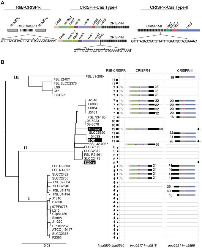 https://cdn.ncbi.nlm.nih.gov/pmc/blobs/4e84/3886909/7e71ebbea864/pgen.1004065.g004.jpg