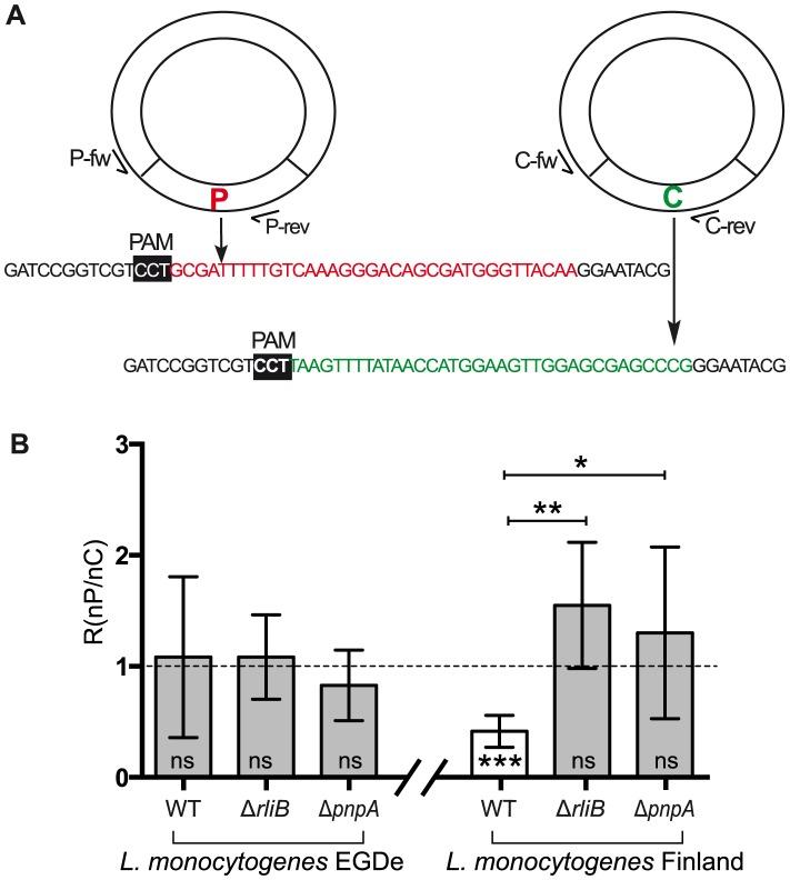 https://cdn.ncbi.nlm.nih.gov/pmc/blobs/4e84/3886909/aa3c00ea9062/pgen.1004065.g007.jpg
