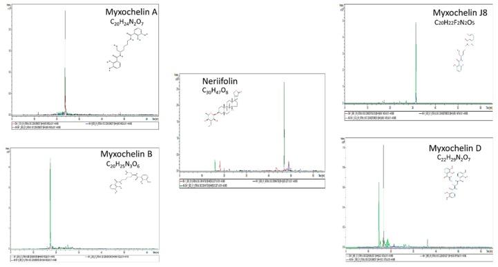 https://cdn.ncbi.nlm.nih.gov/pmc/blobs/4e88/6627406/5db7621e25f6/cells-08-00530-g006.jpg