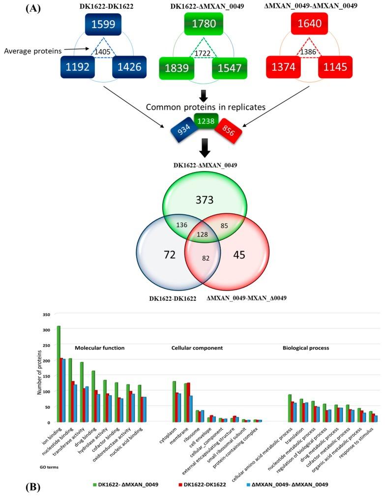 https://cdn.ncbi.nlm.nih.gov/pmc/blobs/4e88/6627406/64ef199f6351/cells-08-00530-g002.jpg