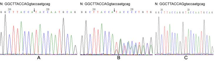 https://cdn.ncbi.nlm.nih.gov/pmc/blobs/4e89/3425574/e8c56f3e4a75/mv-v18-2205-f6.jpg