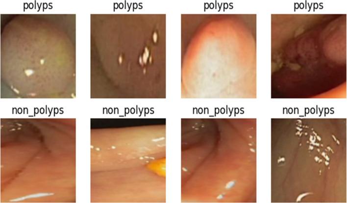 https://cdn.ncbi.nlm.nih.gov/pmc/blobs/4e8b/11763007/cea4e9603e64/41598_2025_86590_Fig3_HTML.jpg
