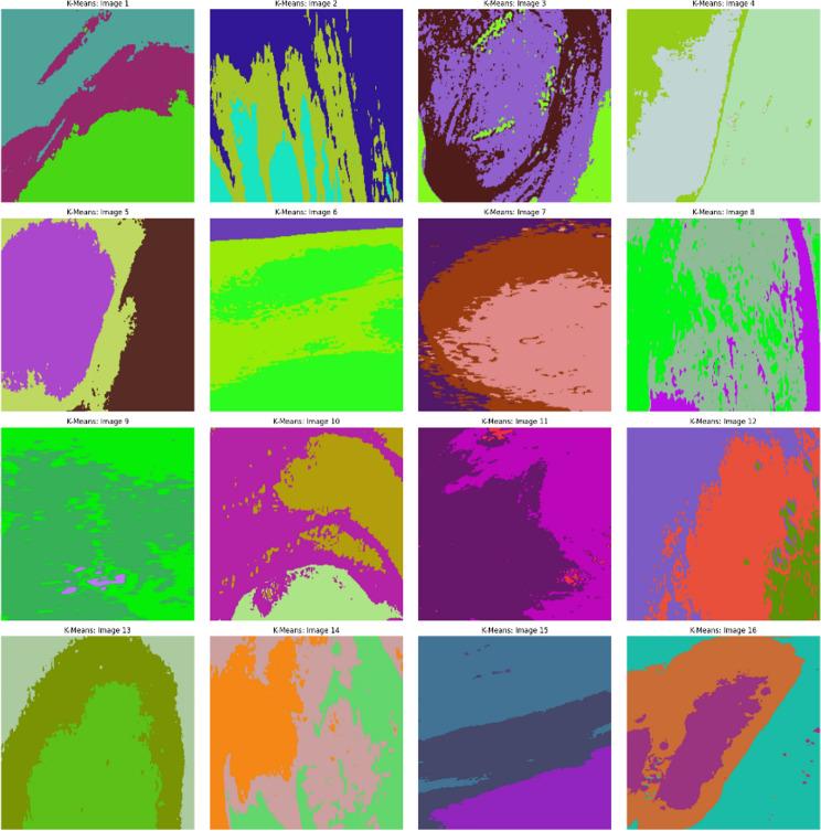 https://cdn.ncbi.nlm.nih.gov/pmc/blobs/4e8b/11763007/ec9da821add1/41598_2025_86590_Fig26_HTML.jpg