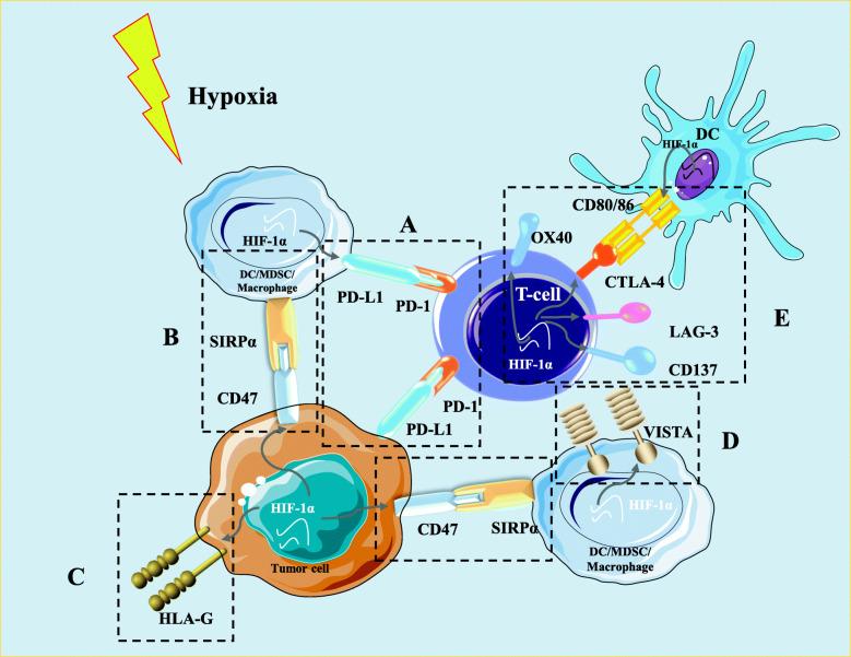 https://cdn.ncbi.nlm.nih.gov/pmc/blobs/4e8c/7796640/6d39eedc51f2/13046_2020_1820_Fig3_HTML.jpg