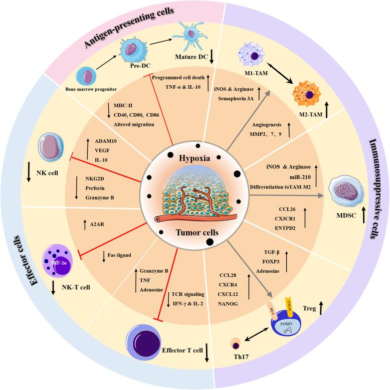 https://cdn.ncbi.nlm.nih.gov/pmc/blobs/4e8c/7796640/83f1758647cf/13046_2020_1820_Fig2_HTML.jpg