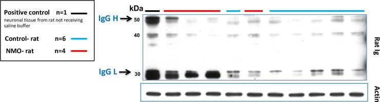 https://cdn.ncbi.nlm.nih.gov/pmc/blobs/4e8f/7470361/600d255b65d4/pone.0238301.g005.jpg