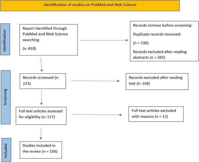 https://cdn.ncbi.nlm.nih.gov/pmc/blobs/4e90/12487768/d7161a9fd75a/j_med-2024-1086-fig002.jpg
