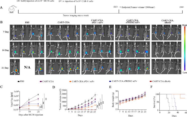 https://cdn.ncbi.nlm.nih.gov/pmc/blobs/4e91/10413520/6d662e7b8a6a/12943_2023_1830_Fig6_HTML.jpg