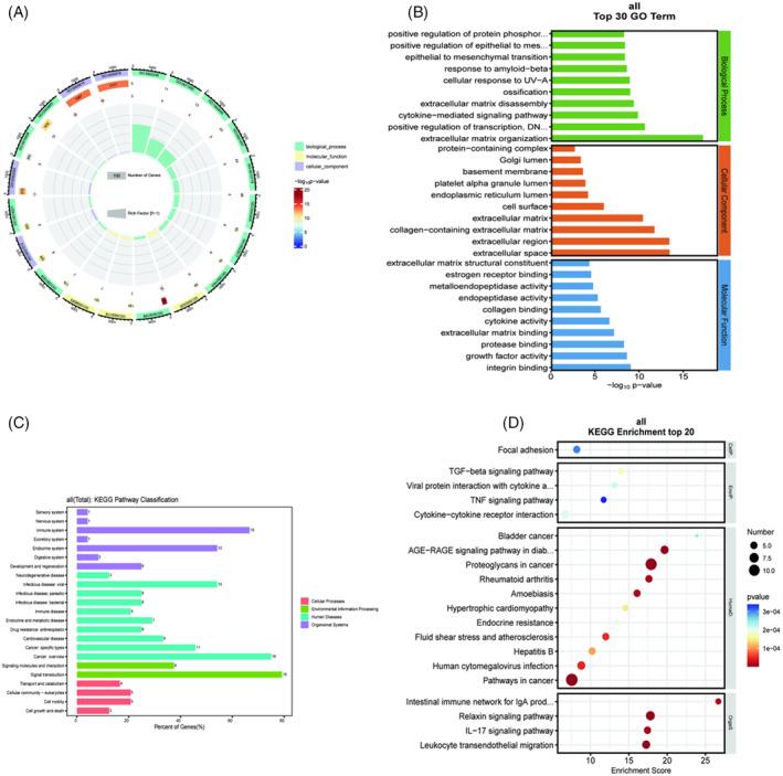 https://cdn.ncbi.nlm.nih.gov/pmc/blobs/4e91/11272949/fffc1104d677/JSP2-7-e1354-g006.jpg