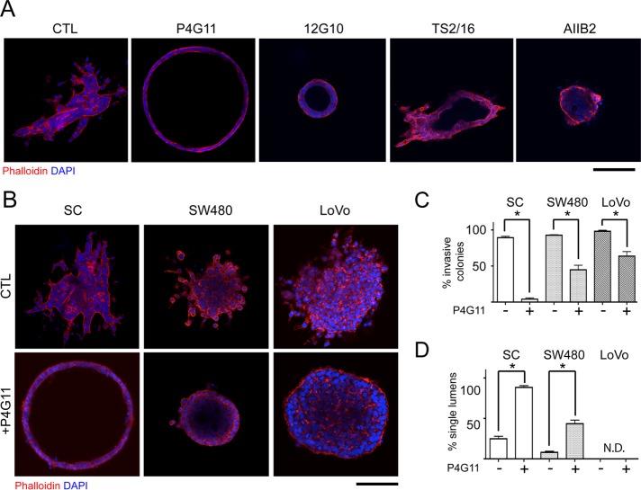 https://cdn.ncbi.nlm.nih.gov/pmc/blobs/4e91/5426844/844382832d57/1288fig1.jpg