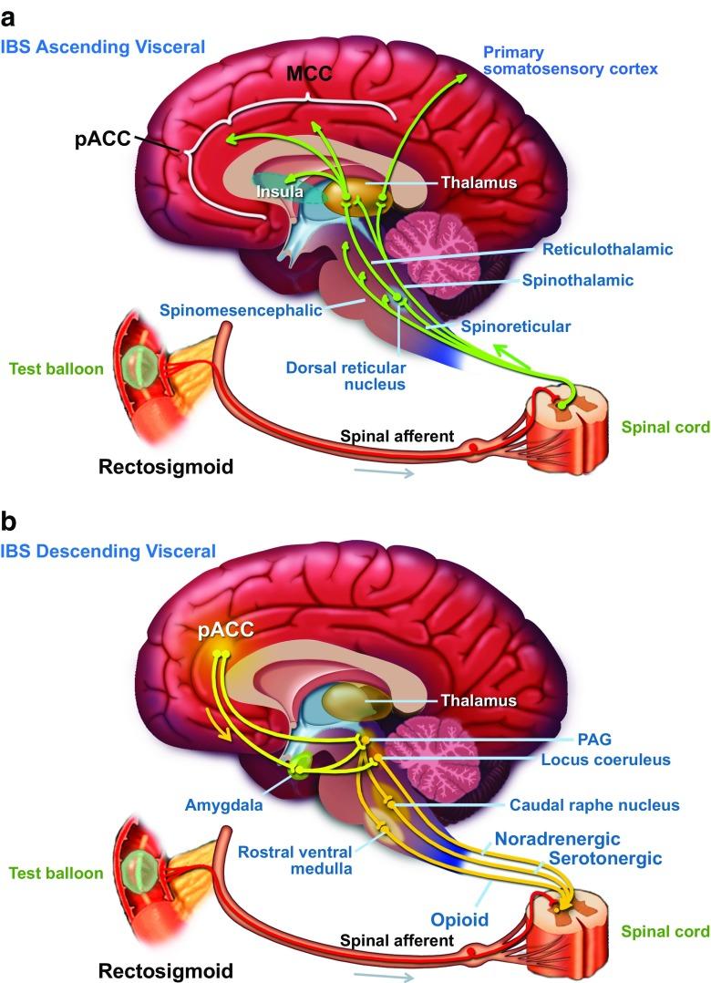https://cdn.ncbi.nlm.nih.gov/pmc/blobs/4e91/6223713/a5bb58f289f5/11894_2018_664_Fig1_HTML.jpg