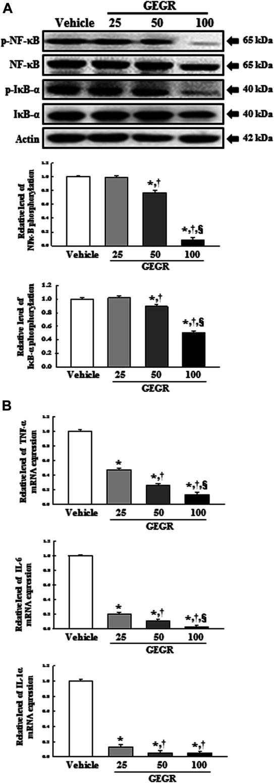 https://cdn.ncbi.nlm.nih.gov/pmc/blobs/4e92/8262247/420d84feb450/pore-27-588084-g004.jpg