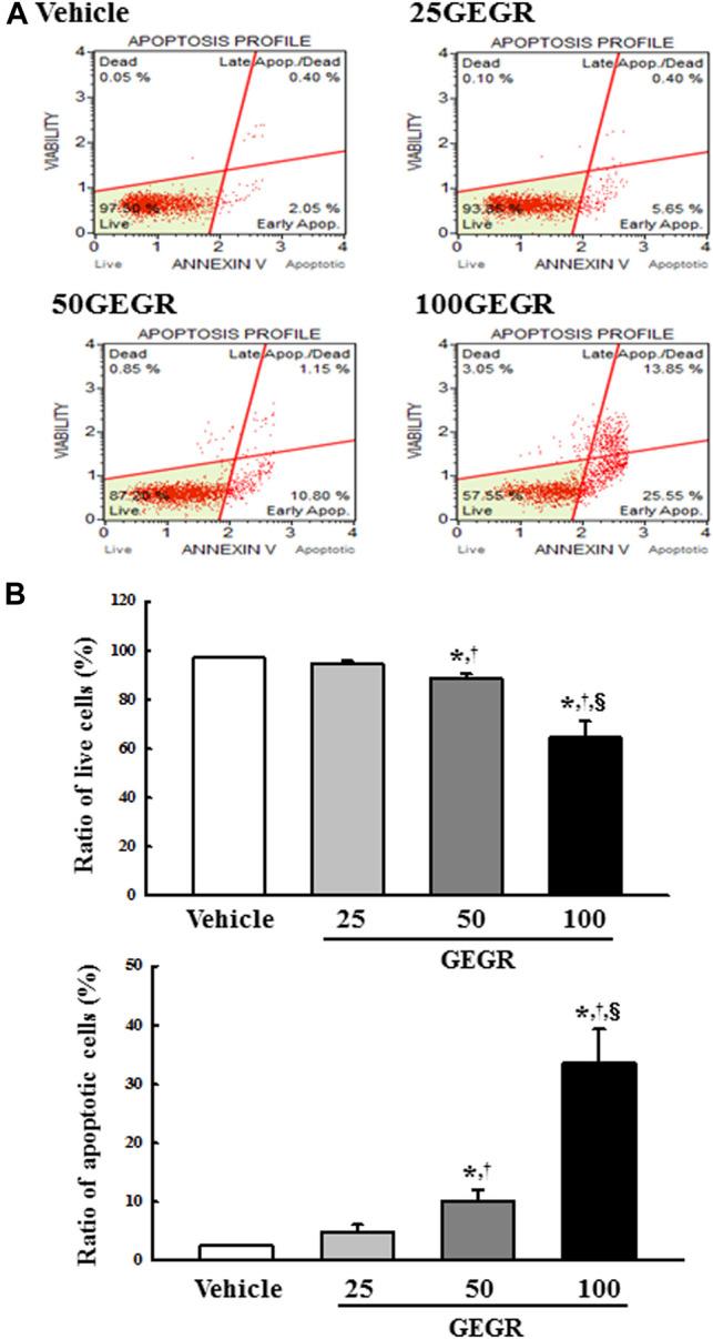 https://cdn.ncbi.nlm.nih.gov/pmc/blobs/4e92/8262247/96747fd6a973/pore-27-588084-g002.jpg