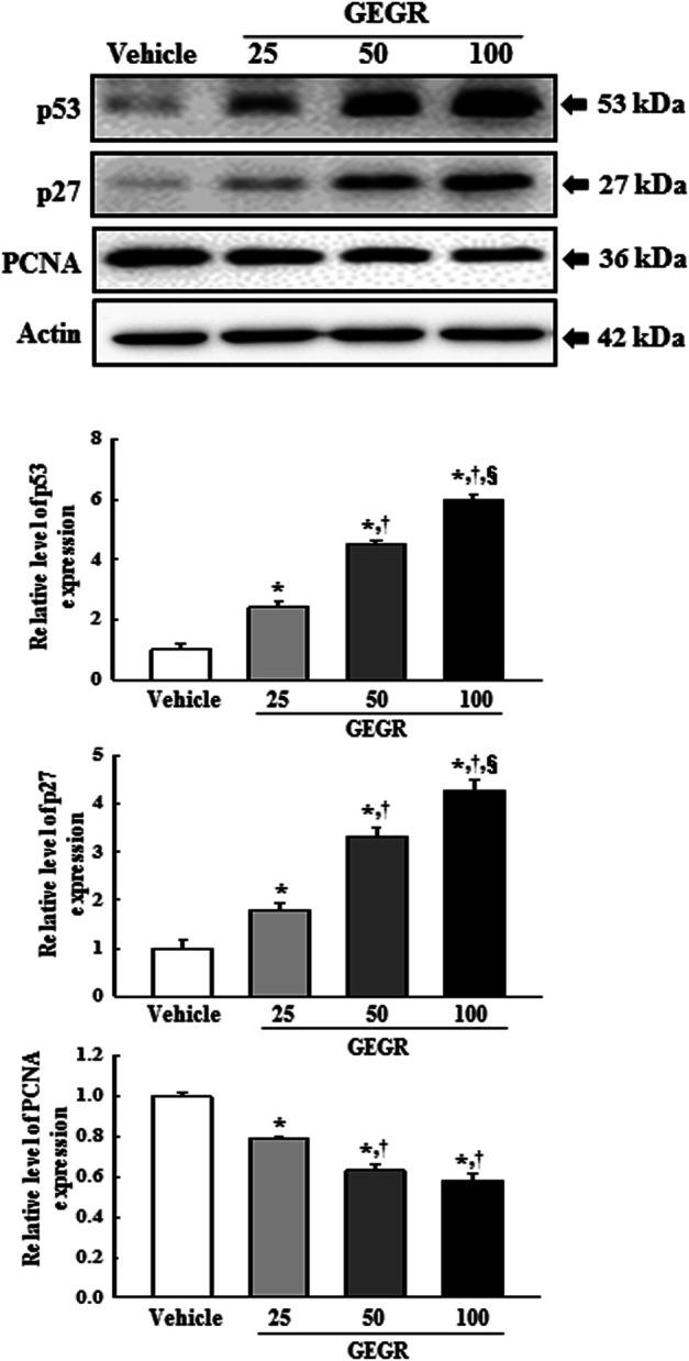 https://cdn.ncbi.nlm.nih.gov/pmc/blobs/4e92/8262247/cc940b63207e/pore-27-588084-g006.jpg