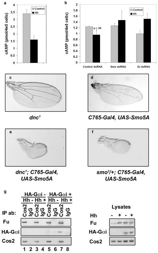 https://cdn.ncbi.nlm.nih.gov/pmc/blobs/4e93/2744466/92f678d12fde/nihms71408f4.jpg