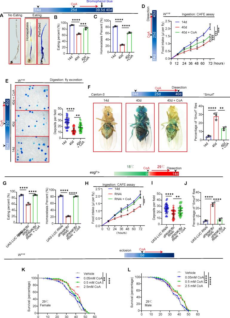 https://cdn.ncbi.nlm.nih.gov/pmc/blobs/4e94/12151469/185c2d047361/pgen.1011704.g004.jpg