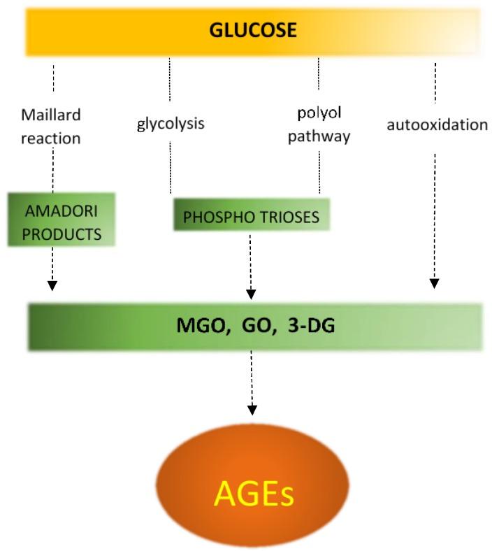 https://cdn.ncbi.nlm.nih.gov/pmc/blobs/4e95/6213955/a350308a9bd9/ijms-19-02869-g006.jpg